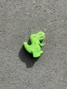 img 7683