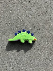 img 7684